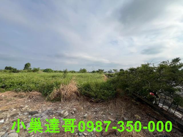 民雄農地-10