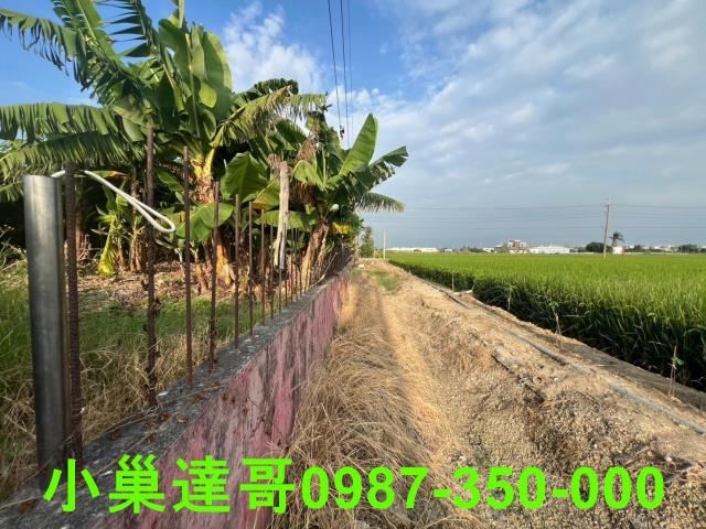 民雄農地-12