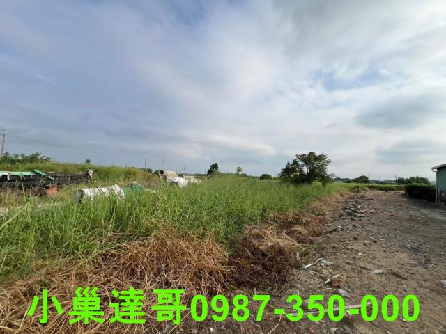 民雄農地-5