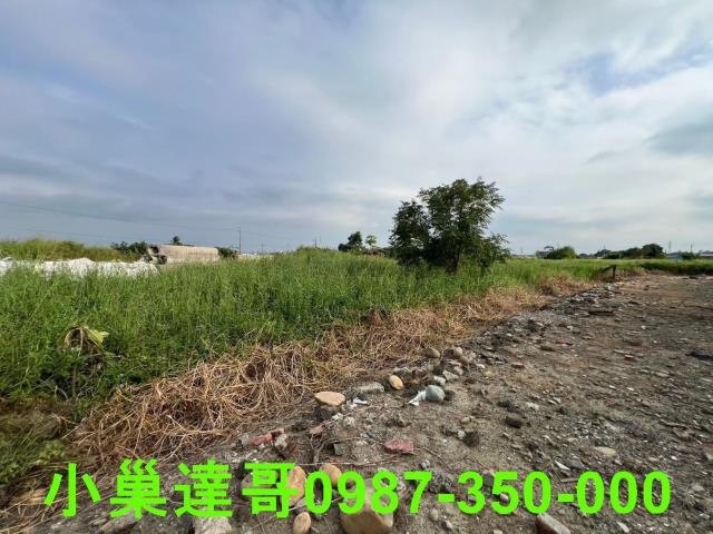 民雄農地-6