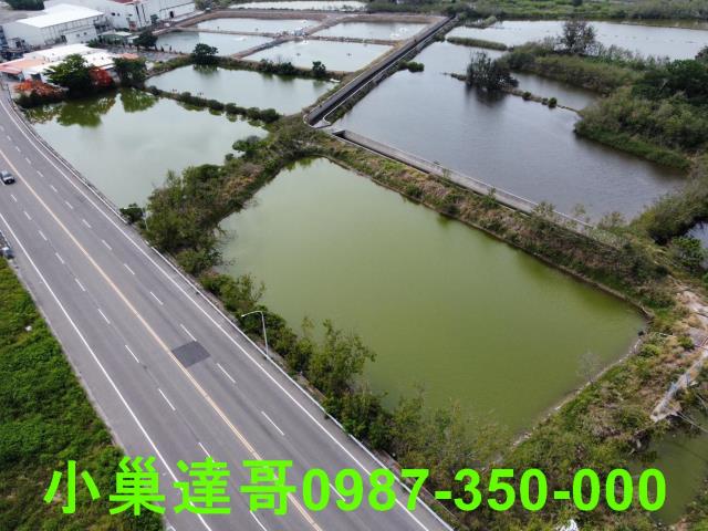 布袋農地-3