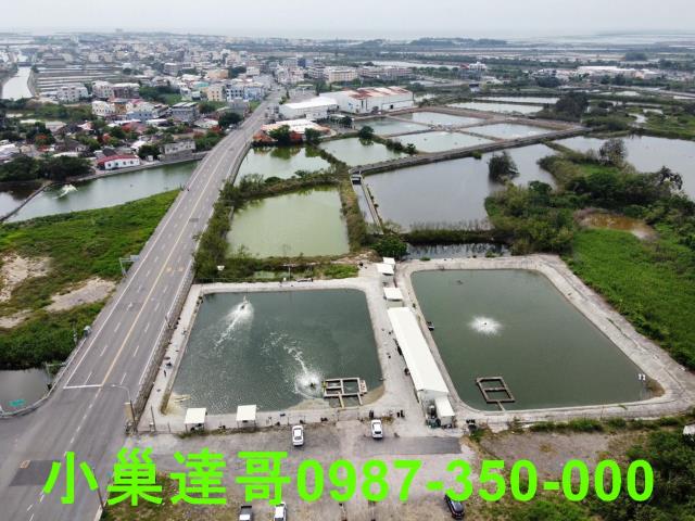 布袋農地-6