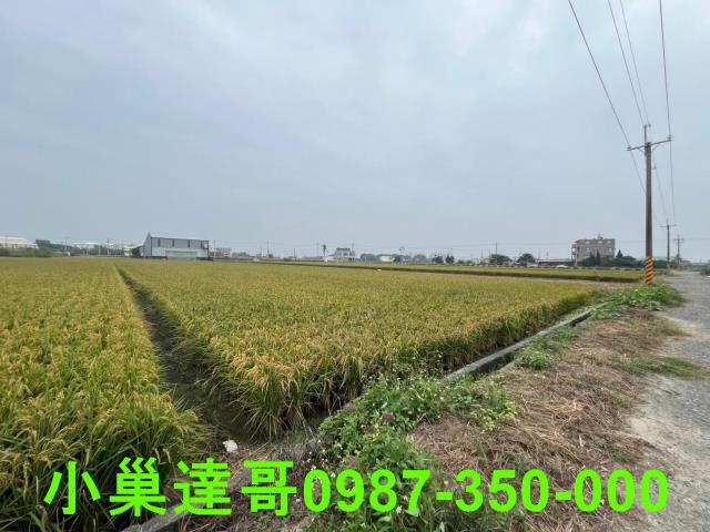 民雄農地-10