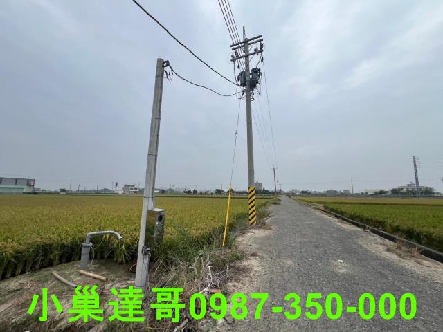 民雄農地-12