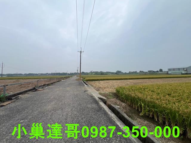 民雄農地-13