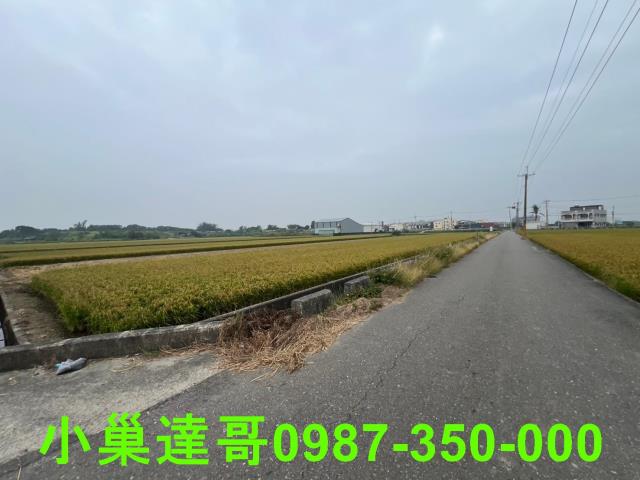 民雄農地-14