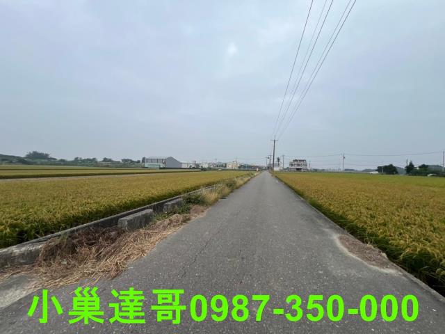 民雄農地-5