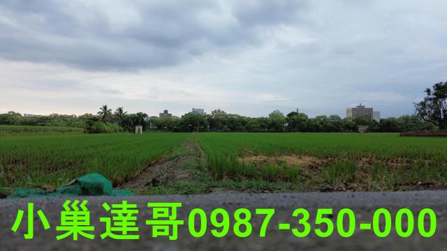 西區農地-6